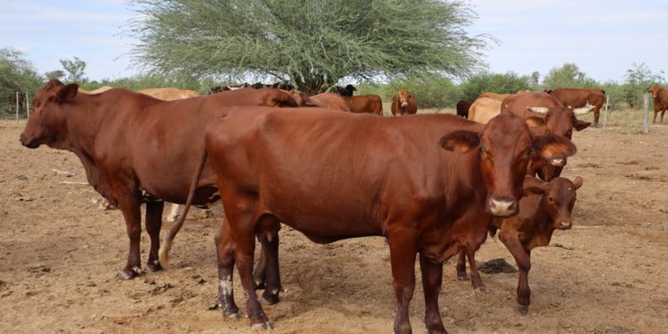 Presidente Peña aseguró que Paraguay defenderá su modelo productivo