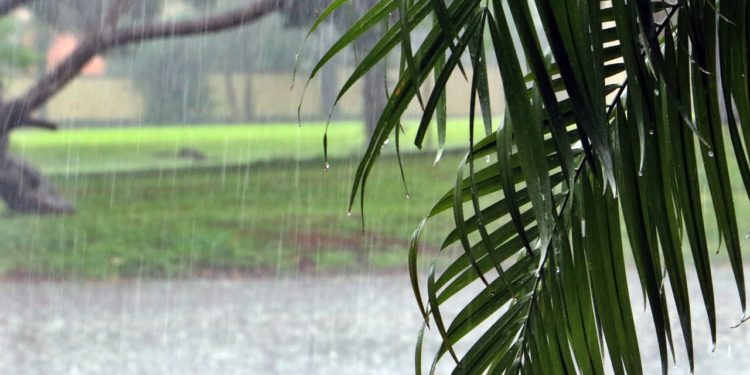 Jueves fresco con lluvias dispersas y tormentas eléctricas