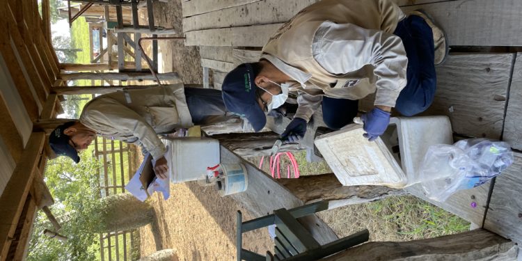 Aftosa: Brasil ya no vacunará en el 2025 y Paraguay seguirá al menos hasta el 2026