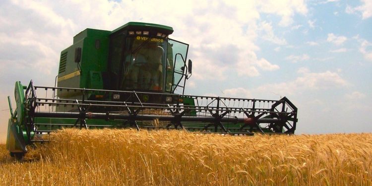 Exportación de trigo genera más de USD 108 millones en el 2023, Según datos del BCP Exportación de trigo genera más de USD 108 millones en el 2023, Según datos del BCP