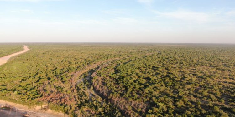 Trabajos en el río Pilcomayo apuntan a la limpieza de los puntos críticos