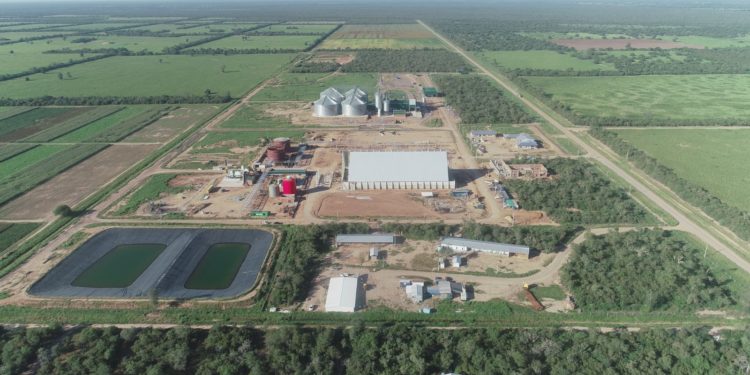 Se puede duplicar el volumen de exportación anual de Paraguay Se puede duplicar el volumen de exportación anual de Paraguay