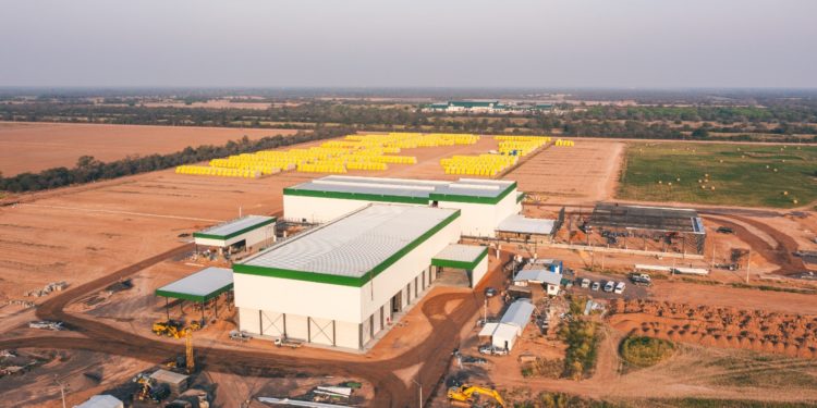 Se establecerá una planta industrial para extracción de aceite de semilla de algodón en el Chaco Se establecerá una planta industrial para extracción de aceite de semilla de algodón en el Chaco