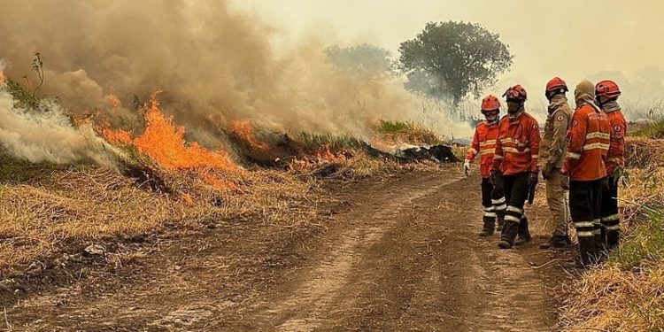 Emergencia por incendios en Mato Grosso do Sul