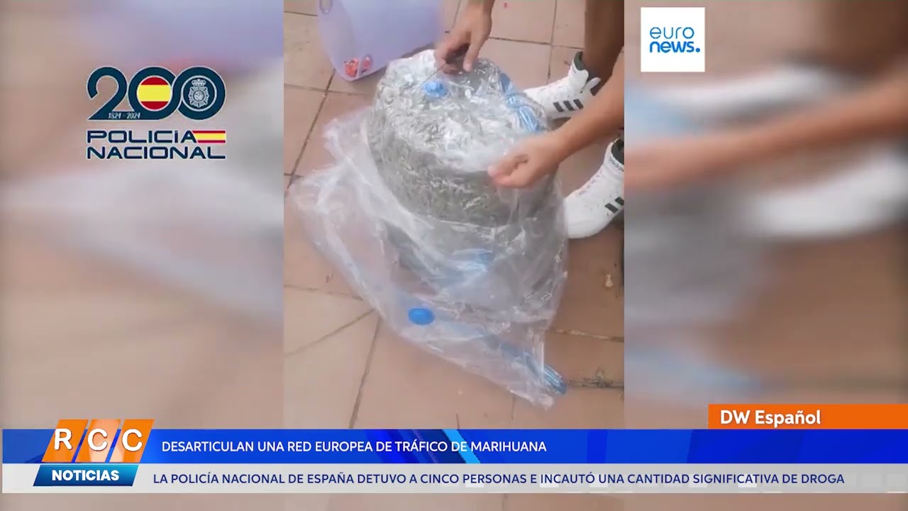 Video: La Policía Nacional de España desarticula una red europea de tráfico de marihuana