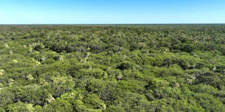 Presidente Hayes: verifican in situ áreas certificadas en San Esteban