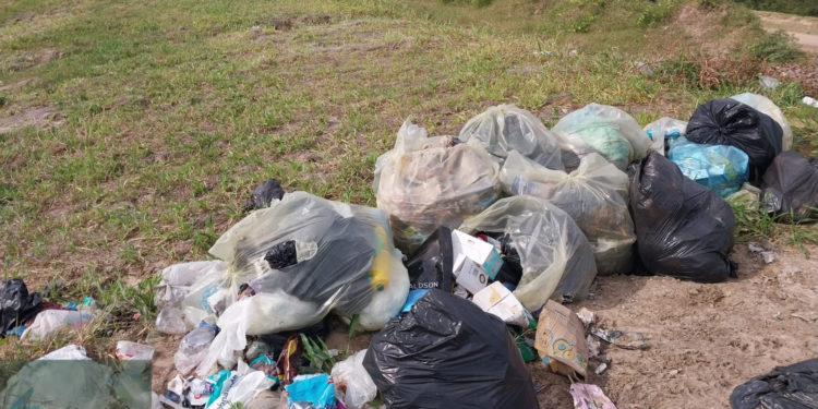 Instan al cuidado de la Defensa Costera de Pilar