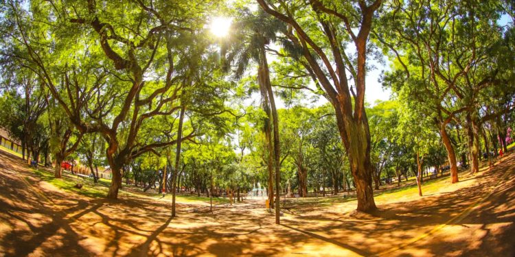 Miércoles con ambiente fresco a cálido a nivel país Miércoles con ambiente fresco a cálido a nivel país