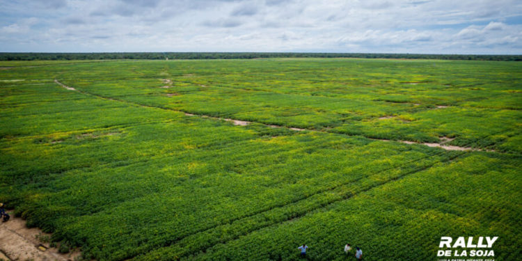 El Chaco podría duplicar producción agrícola para zafra 2024/2025