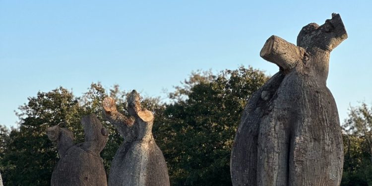 Samu’ú del Chaco a Emiratos Arabes, Qatar, Italia, España