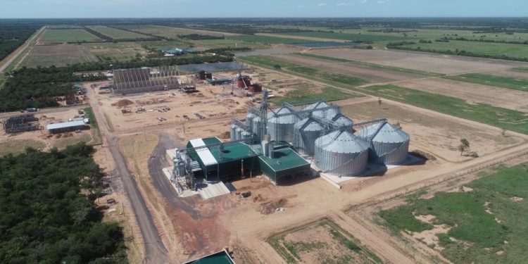 Industria de la molienda de soja en crisis, según CAPPRO