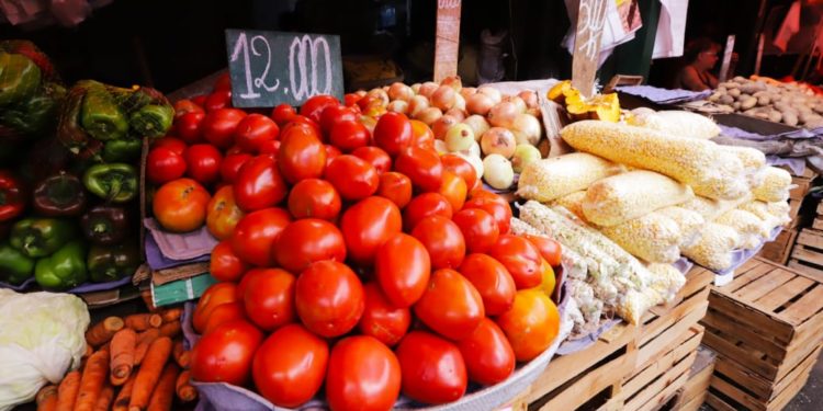 Nuevos procedimientos para importación de frutas y hortalizas Nuevos procedimientos para importación de frutas y hortalizas