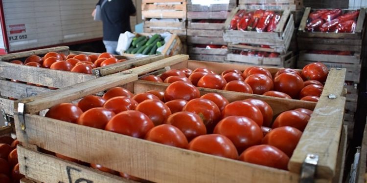 Senave lanzó plan piloto para la Entrega Anticipada de Etiquetas Codificadas en Ciudad del Este