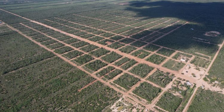 Desarrollo urbano en Agua Dulce con una proyección muy positiva Desarrollo urbano en Agua Dulce con una proyección muy positiva