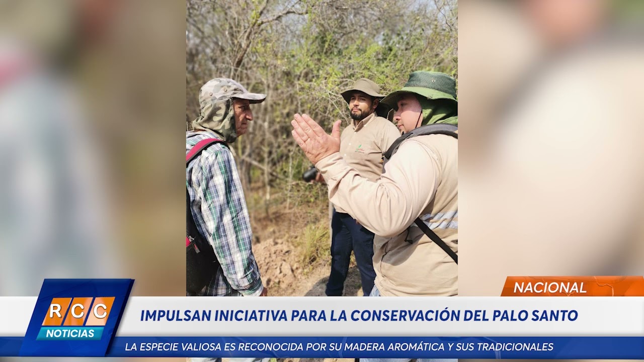 Video: MADES impulsa iniciativa para la conservación del Palo Santo en el Chaco paraguayo