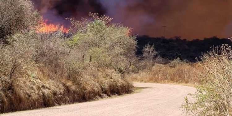 Esfuerzos conjuntos para combatir incendios forestales en el norte de Alto Paraguay