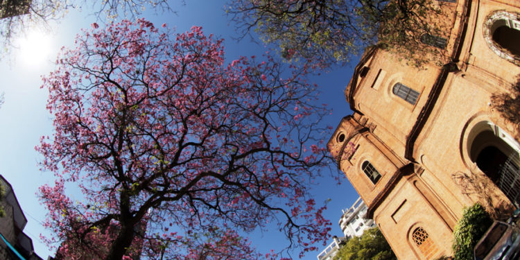 Persiste el ambiente caluroso y baja probabilidad de lluvia