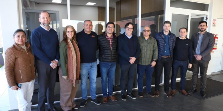 Primera fábrica de cápsulas en Paraguay se instala en Alto Paraná Primera fábrica de cápsulas en Paraguay se instala en Alto Paraná