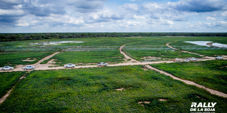 Difícilmente este año aumente superficie de agricultura en el Chaco Difícilmente este año aumente superficie de agricultura en el Chaco