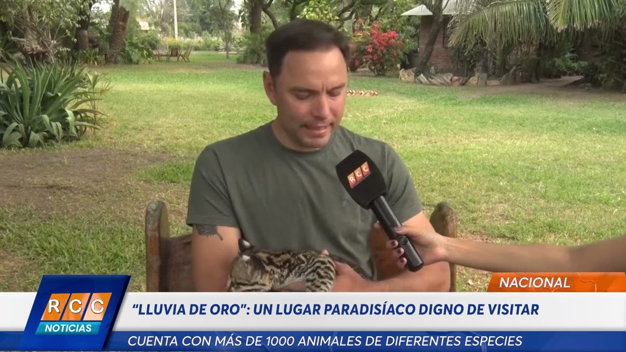 Video: “Lluvia de oro”, un lugar paradisíaco en el Chaco con más de 1000 animales
