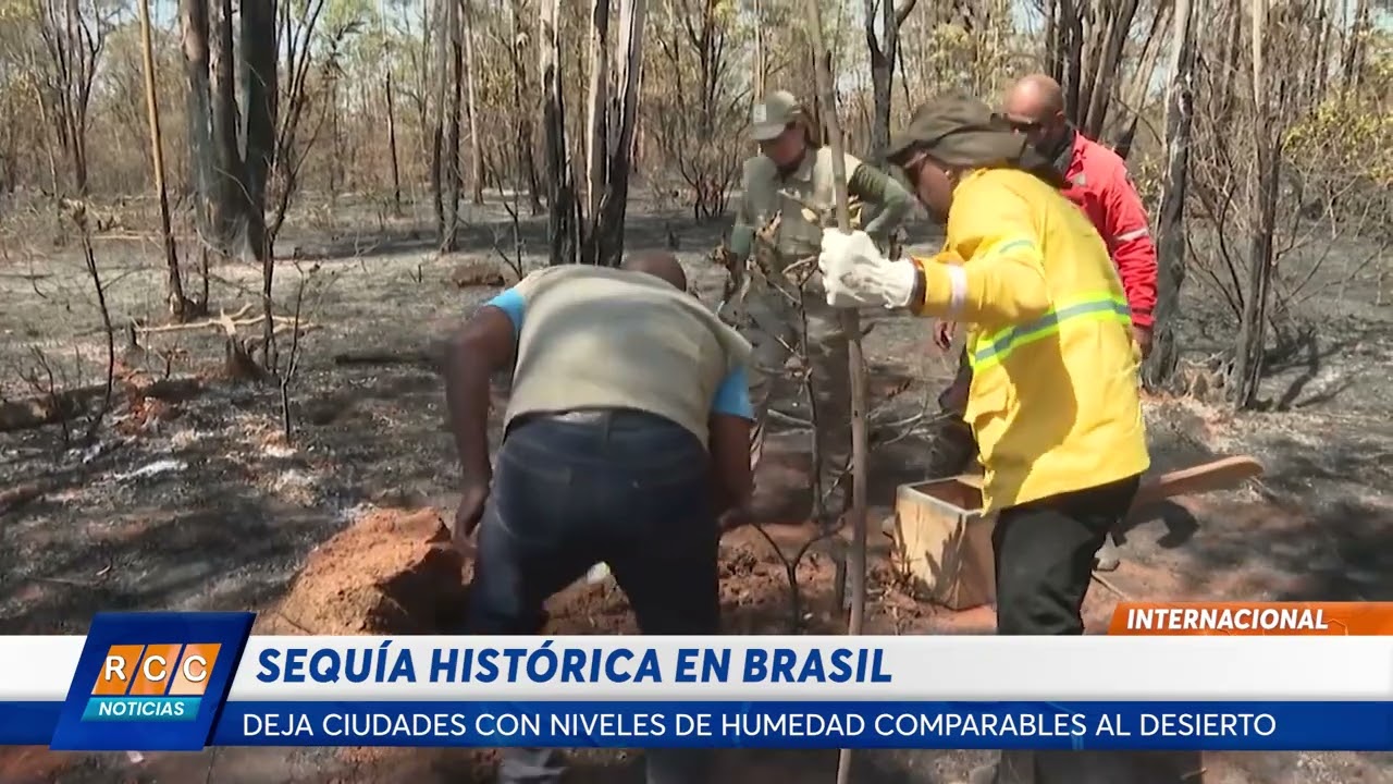 Video: Sequía histórica deja ciudades brasileñas con niveles de humedad comparables al desierto