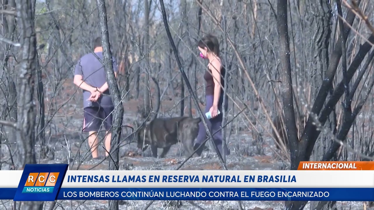 Video: Bomberos luchan contra el fuego encarnizado en Brasilia