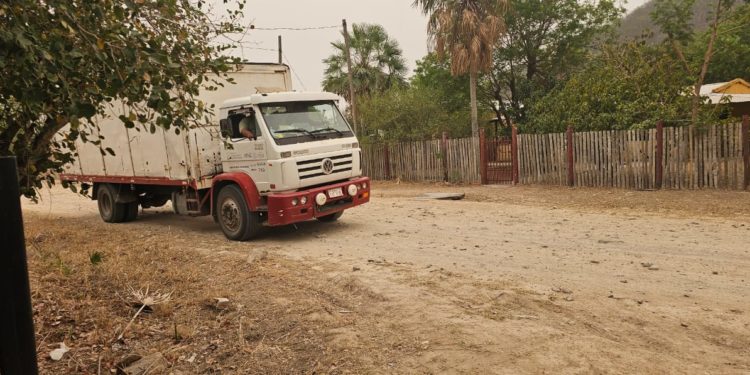 Parques sanitarios de Concepción y Alto Paraguay reciben medicamentos e insumos