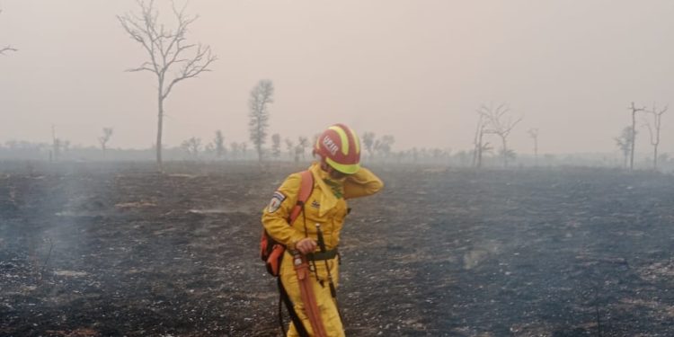 Se reactivan focos de incendio en Chovoreca, Chaco Se reactivan focos de incendio en Chovoreca, Chaco