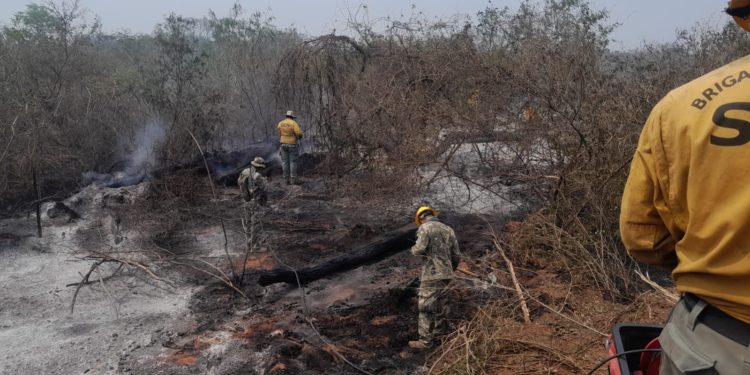 Los incendios en el Chaco han afectado ya 200.000 hectáreas, advierte la SEN Los incendios en el Chaco han afectado ya 200.000 hectáreas, advierte la SEN
