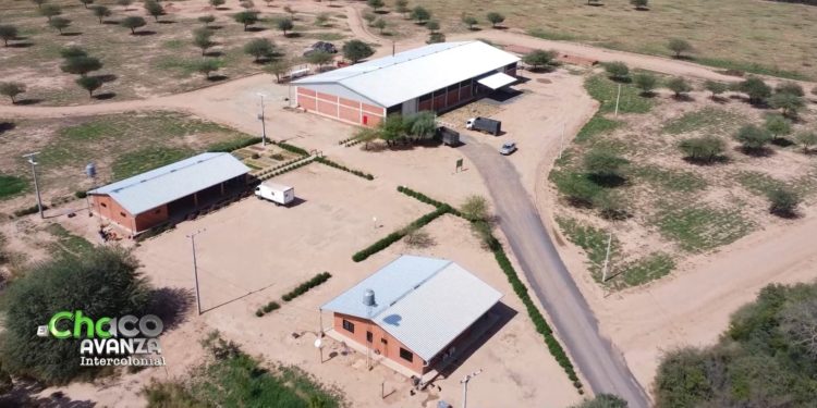 Cepresol: Un pilar de sostenibilidad en el corazón del Chaco