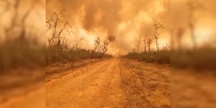 “En la Guerra del Chaco derramaron sangre y ahora están derramando sudor, ahora la guerra es contra el fuego”, refiere comandante