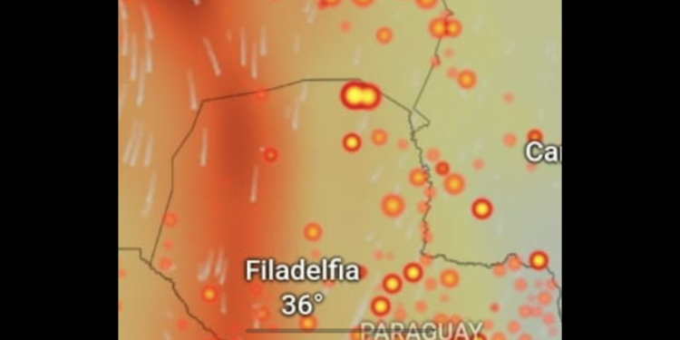 Se inicia la lucha por detener el fuego en el Alto Paraguay Se inicia la lucha por detener el fuego en el Alto Paraguay