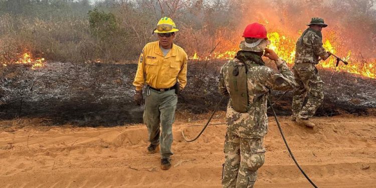 Respirar al aire libre en el Chaco Central según las mediciones hoy es peligroso. Respirar al aire libre en el Chaco Central según las mediciones hoy es peligroso.