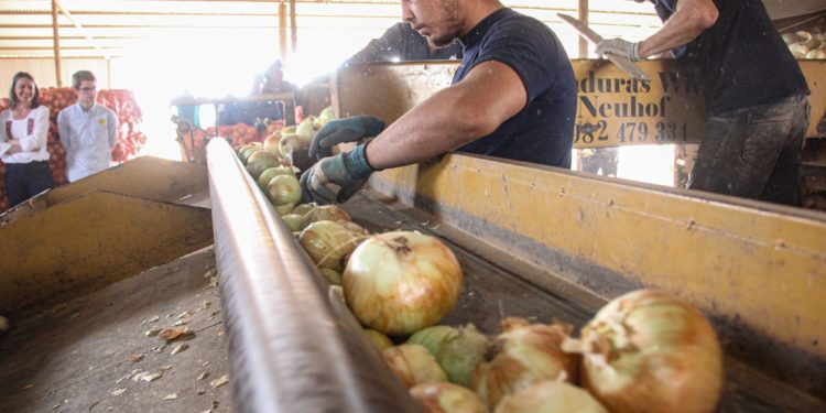 Nuevos productos paraguayos conquistan nuevos mercados internacionales