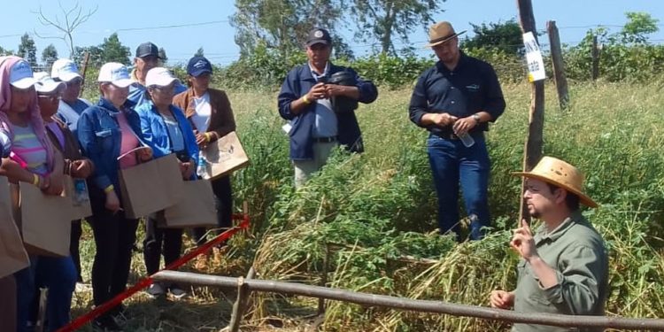 Día de campo en Buena Vista: Fomentando la sostenibilidad en la agricultura