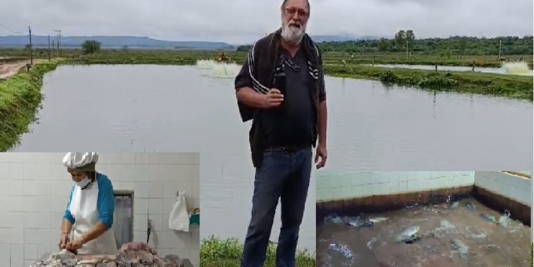 Cría de peces en estanques, en permanente crecimiento