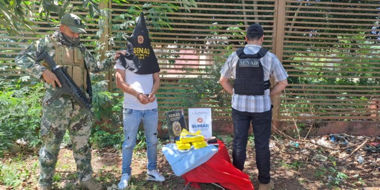 SENAD incauta más de 10 mil dosis de drogas en operativos en Ciudad del Este, Horqueta y Mariano Roque Alonso