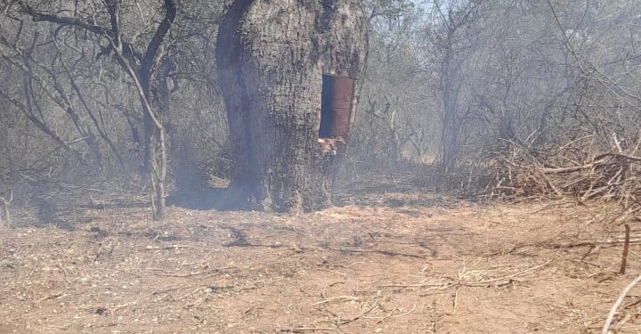 Invitan a la Puesta en Valor del Fortín Ramón Avalos Sánchez, Presidente Hayes.