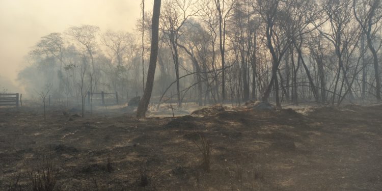 Incendios en Chovoreca – Fiscalía no avanza por falta de informes del MADES Incendios en Chovoreca – Fiscalía no avanza por falta de informes del MADES