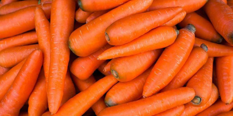 Paraguay ya concretó primera venta de zanahorias a la Argentina Paraguay ya concretó primera venta de zanahorias a la Argentina