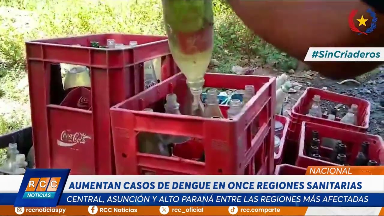 Video: Alerta de dengue en once regiones sanitarias del país