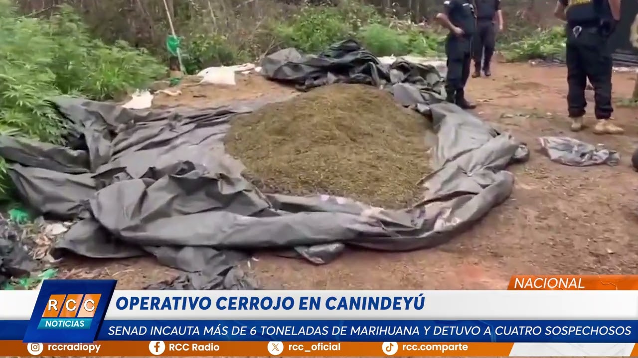 Video: Senad desmantela estructura de narcotráfico en mega operativo antidrogas en Canindeyú