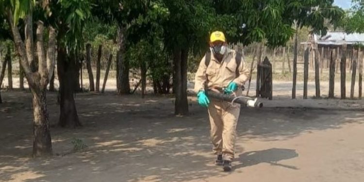 SENEPA trabaja en la erradicación del Aedes aegypti en el Chaco