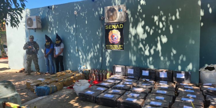 Senad anula más de 24 toneladas de marihuana destinadas al mercado brasileño
