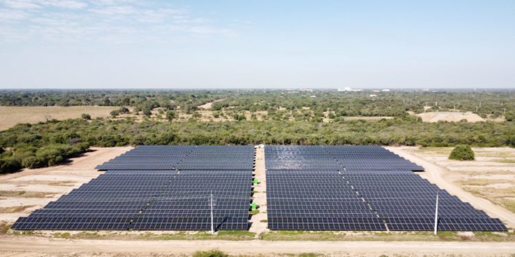 El Chaco Avanza presentará esta noche la nueva planta solar de la Cooperativa Fernheim El Chaco Avanza presentará esta noche la nueva planta solar de la Cooperativa Fernheim