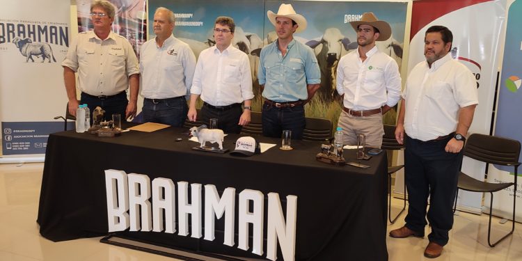 Unidos por la raza Brahman: El futuro de la ganadería se asegura con un acuerdo histórico Unidos por la raza Brahman: El futuro de la ganadería se asegura con un acuerdo histórico