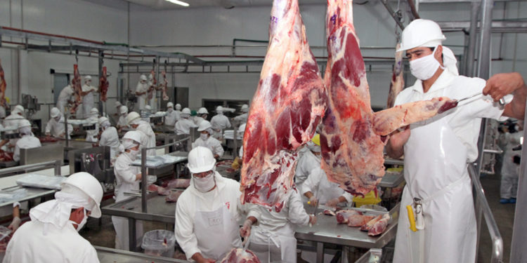 Más de US$ 1.400 millones por exportación de carne, al cierre de octubre