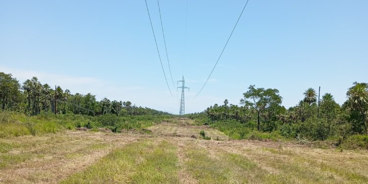ANDE refuerza la seguridad eléctrica en el Chaco con trabajo de limpieza en línea de transmisión Vallemi – Loma Plata