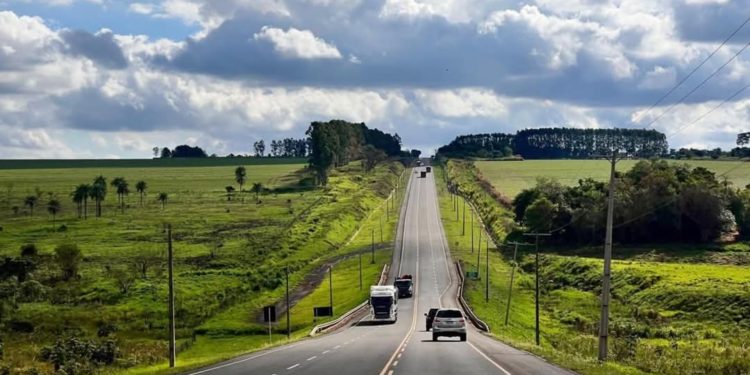 Reducir la velocidad también es salvar vidas Reducir la velocidad también es salvar vidas