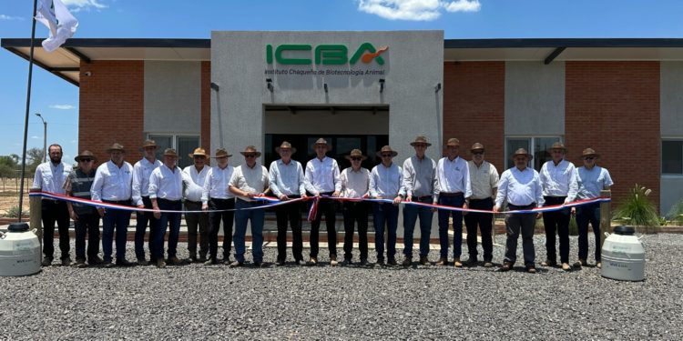 A la vanguardia de la ganadería: Descubrí el nuevo Instituto Chaqueño de Biotecnología Animal en el Chaco Avanza